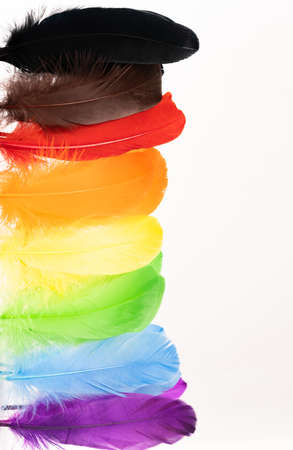 Feathers in LGBTQ coloursの写真素材