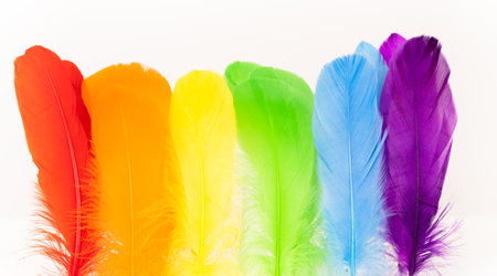 Feathers in LGBTQ coloursの写真素材