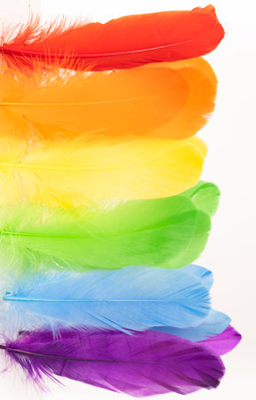 Feathers in LGBTQ coloursの写真素材