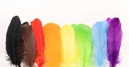 Feathers in LGBTQ coloursの写真素材