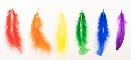 Feathers in LGBT rainbow colors isolated over white backgroundの写真素材
