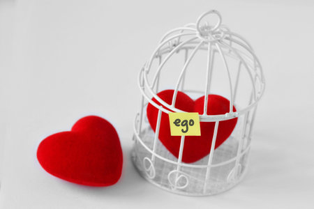 Free heart and heart in a bird cage with the word Ego written on paper note  - Love and freedom conceptの写真素材