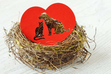 Cat and dog silhouette cut out in paper heart in a nest - Concept of pet love and careの写真素材