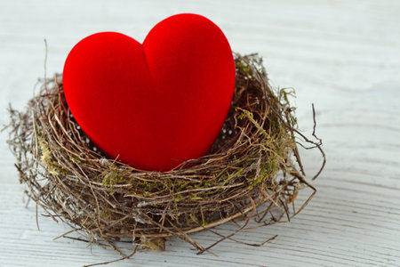 Red heart in nest - Love and protection conceptの写真素材