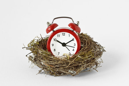 Red alarm clock in a bird nest on white background - Importance of time concept