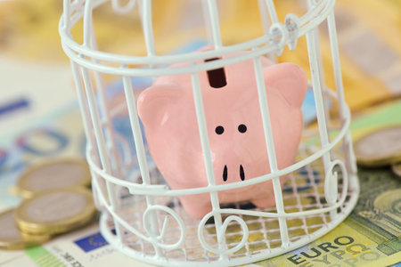 Piggy bank closed in a cage on euro money - Concept of savings blockedの写真素材