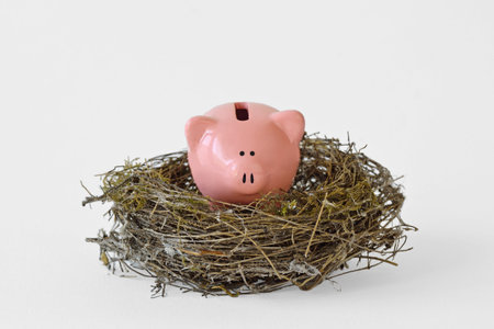 Piggy bank in a nest on white backgroundの写真素材