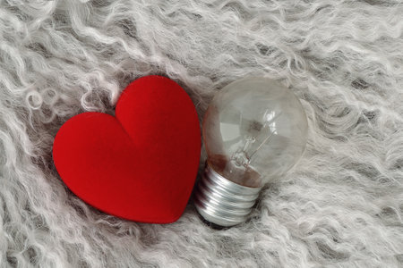 Heart with light bulb on smooth fur background - Concept of heart and brain connectionの写真素材