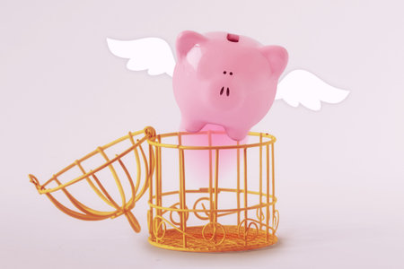 Opened bird cage with escaping piggy bank - Concept of economy and savingsの写真素材