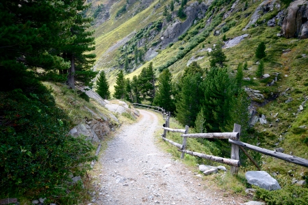 Rocky trail leading to valley surrounded by forests and high mountains in Swiss Alps, Switzerland.の写真素材