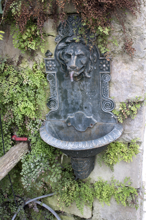 Sculpted lion water supply in the walls with ferns, along a street in Sorrento, Italy. These small outdoor fountains are often highly decorated with integral sculptures.の写真素材