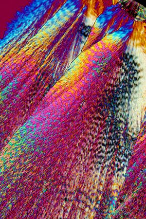 Abstract polarizing micrograph of ascorbic acid crystals, with radiating fans of color. Taken at 100x in a polarizing microscope.の写真素材
