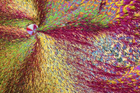 Abstract polarizing micrograph of ascorbic acid crystals, with spiral bands of color. Taken at 100x in a polarizing microscope.の写真素材