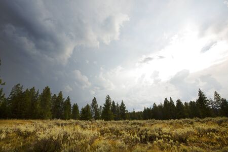 Dramatic clouds over an opening in the pine forest, with sagebrush near Swan Lake, Jackson Hole, Wyoming, horizontal.の写真素材