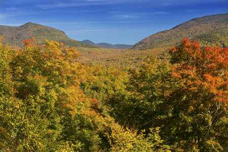 Bright maples in autumn on hillside overlooking ridges of the Sandwich Range in the White Mountains National Forest of New Hampshire, near Woodstock.の写真素材