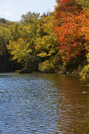 Dramatic fall foliage of red maples and yellow birches along shore of Russell Pond in the White Mountains near Woodstock, New Hampshire, vertical image.の写真素材