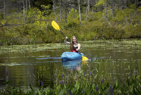 Young woman in blue kayak, paddling toward camera among water plants on Mud Pond in Sunapee, New Hampshire, on a sunny day, framed by tree branches, horizontal image.の写真素材