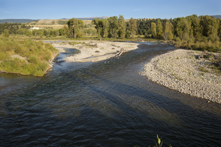 Forking channel of the Snake River, with gravel bars and willow trees, Teton National Park, Wyoming, in late summer.の写真素材