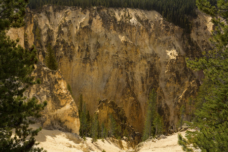 Steep and deep drop into the Grand Canyon of the Yellowstone River, with yellow cliffs and green pines.の写真素材