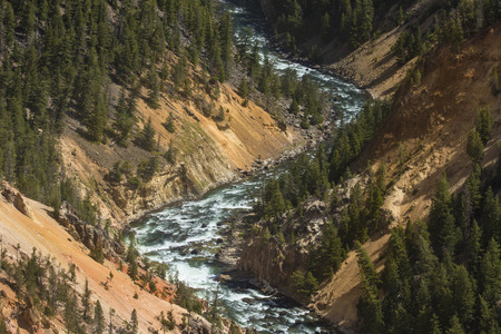 Steep and deep ravine of the Grand Canyon of the Yellowstone River, with yellow and pink cliffs, green pines, and rapids in the winding river below.の写真素材