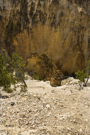 Steep and deep drop into the Grand Canyon of the Yellowstone River, with yellow cliffs, stones, and green pines at the rim.の写真素材