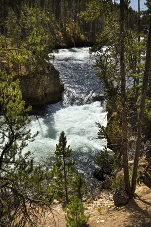 Winding rapids and cliffs with pine trees above Upper Falls of the Yellowstone River in Yellowstone National Park, Wyoming.の写真素材