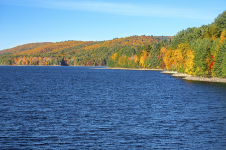 Colorful red, yellow and orange foliage on the shoreline of Barkhamsted Reservoir in Litchfield County, Connecticut, on a sunny day in October.の写真素材