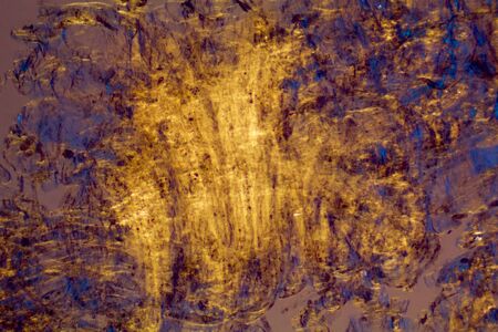Colorful orange and blue, abstract micrograph of blueberry skin, taken at 100x with a polarizing microscope.の写真素材