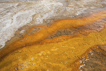 Orange surface runoff and lime crust in the West Thumb basin of Yellowstone National Park; Wyoming.の写真素材