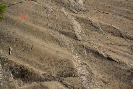 Glacial grooves in bedrock near summit of Mt. Kearsarge, New Hampshire, horizontal image.の写真素材