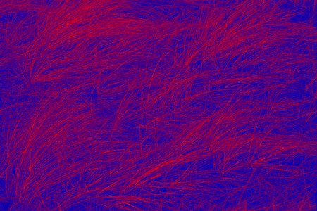 Abstract red fibers of beach grass, Ammophila, on blue background in digitally manipulated graphic.の写真素材