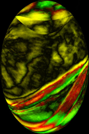 Abstract, red and green moss leaves in oval vignette on black background, resembling an egg in digitally manipulated micrograph at 100x.の写真素材