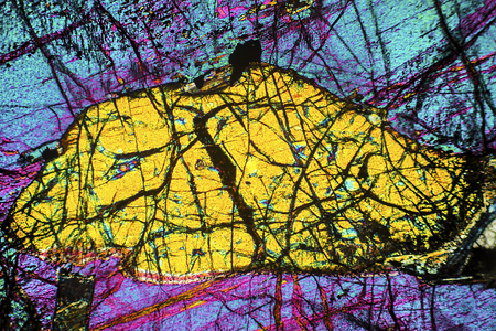 Yellow, shark-like pattern with webby lines in abstract micrograph of peridotite rock, at 40x with...
