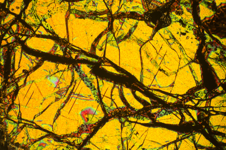 Neuron-like cracks in a thin section of peridotite rock in an abstract, polarizing micrograph at...