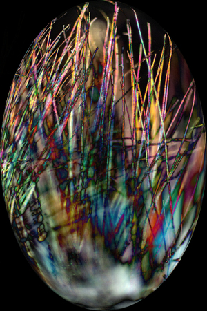 Abstract micrograph of multicolor spikes and fibers from cottonwood seed pod, glowing at 100x,...