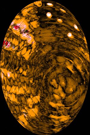 Brown abstract micrograph of snake skin, in digitally altered, egg shaped vignette at 100x.の写真素材