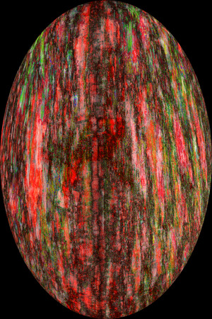 Abstract micrograph egg of flower parts of a wood sorrel, Oxalis acetosella, with polarization at 40x.の写真素材