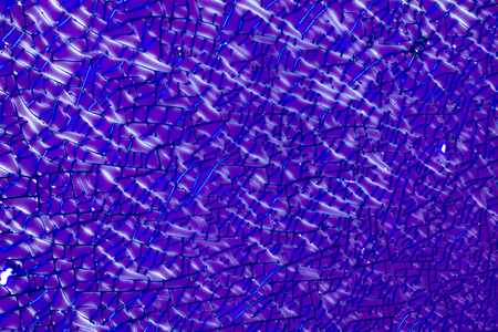 Abstract micrograph of dried albumの写真素材