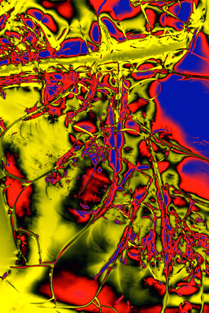 Abstract micrograph of dried albumin that was sent into space on a NASA shuttle mission.の写真素材