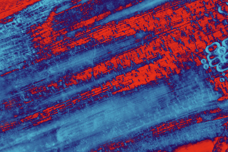 Abstract micrograph of parts of the stalk holding up a daisy flower, manipulated in post-processing.の写真素材
