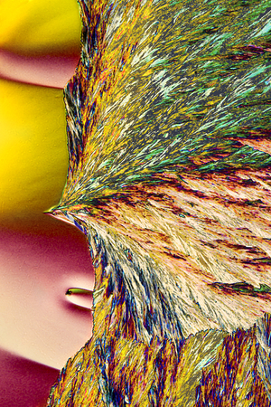 Abstract micrograph of ascorbic acid crystals, with a colorful, feathery, bird-like pattern over a blank face in yellow and red.の写真素材