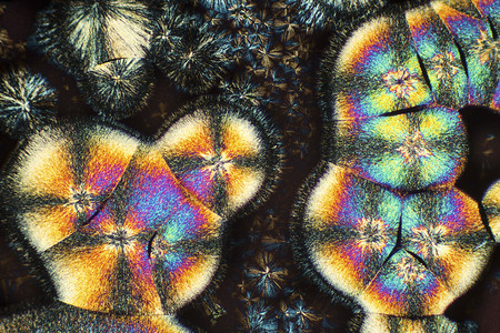 Abstract micrograph of bursts of lysine crystals on a microscope slide at 100x.の写真素材