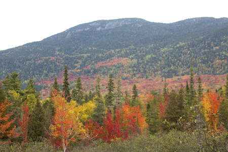 Autumn colors on the shoreline of Stratton Brook Pond in Carrabassett Valley, Maine, with mountains of the Bigelow Range in the background.の写真素材