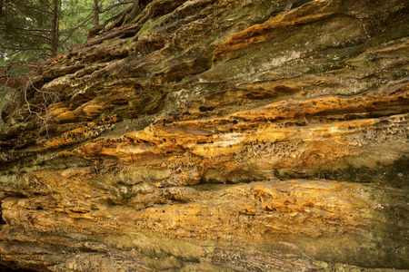 Golden, pockmarked, conglomerate rock of Ritchie Ledges in Cuyahoga Valley National Park near Cleveland, Ohio.の写真素材