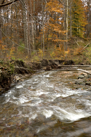 Rapids in Brandywine Creek in late autumn woods of Cuyahoga Valley National Park in northern Ohio.の写真素材