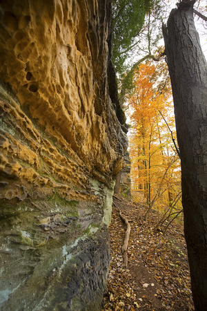 Sedimentary rock outcrop with orange conglomerate of the Ritchie Ledges in Cuyahoga Valley National Park near Cleveland, Ohio.の写真素材