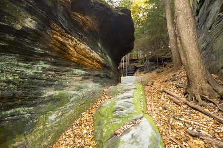 Sedimentary rock outcrop with orange conglomerate of the Ritchie Ledges in Cuyahoga Valley National Park near Cleveland, Ohio.の写真素材