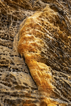Detail of sedimentary rock outcrop, including this pockmarked conglomerate, of the Ritchie Ledges in Cuyahoga Valley National Park near Cleveland, Ohio.の写真素材