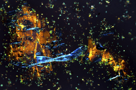 Abstract micrograph of tissue from a ghost pepper, with polarization at 100x.の写真素材