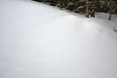 Shadows of a setting sun lay across deeply drifted snow in the woods of northern Maine.の写真素材